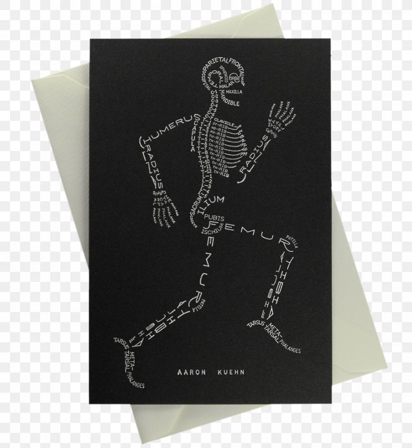 Human Skeleton Human Body Bone Typography, PNG, 900x977px, Human Skeleton, Anatomy, Bone, Bone Fracture, Human Body Download Free