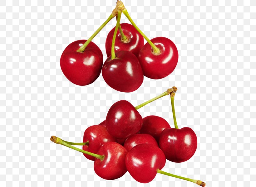 Sweet Cherry Cerasus Berry, PNG, 499x600px, Cherry, Accessory Fruit, Acerola, Acerola Family, Auglis Download Free