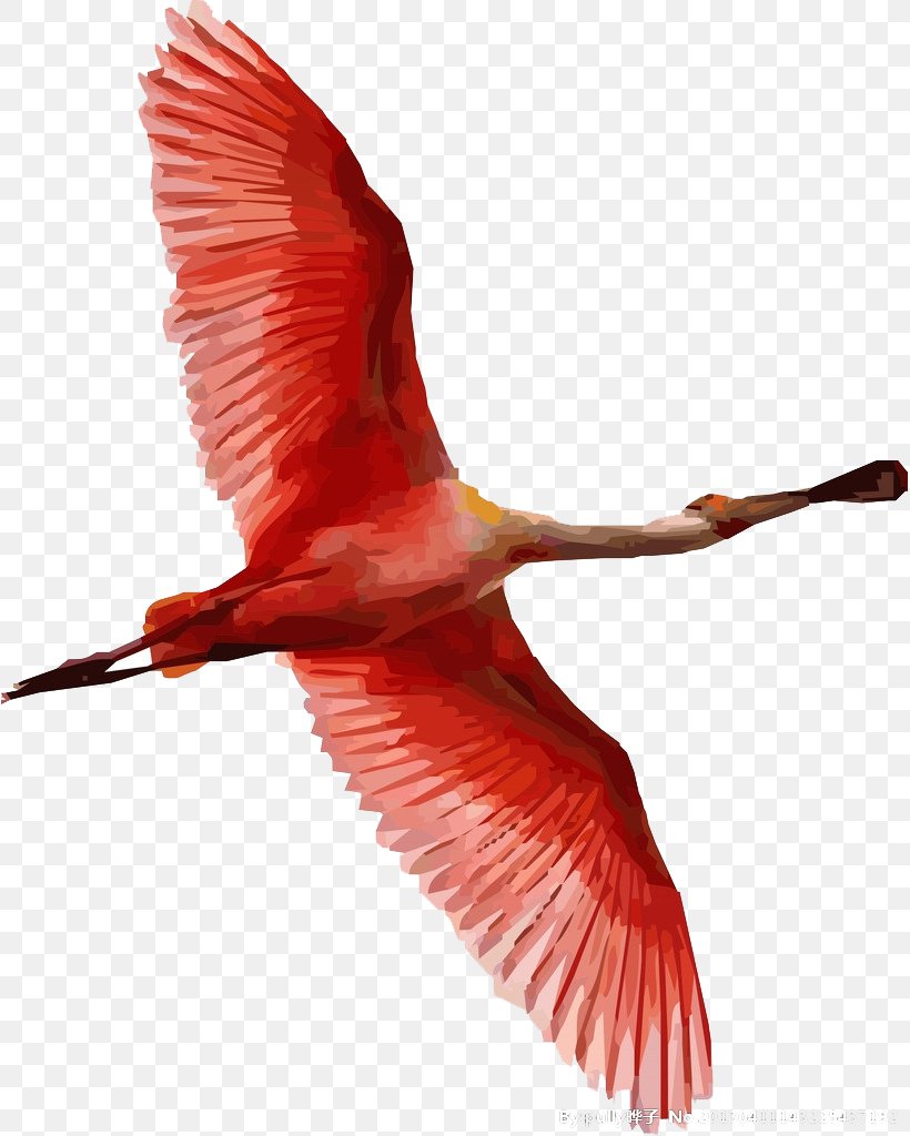 Bird Flamingos Painting, PNG, 817x1024px, Bird, Beak, Canvas, Drawing, Feather Download Free