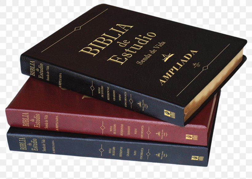 Catholic Bible Reina-Valera Book Biblical Studies, PNG, 1373x979px, Bible, Amazoncom, Biblical Studies, Book, Catholic Bible Download Free