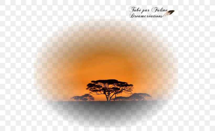 Création Graphique Savana Faline Desktop Wallpaper PSP, PNG, 600x500px, Savana, Africa, Book, Computer, Faline Download Free