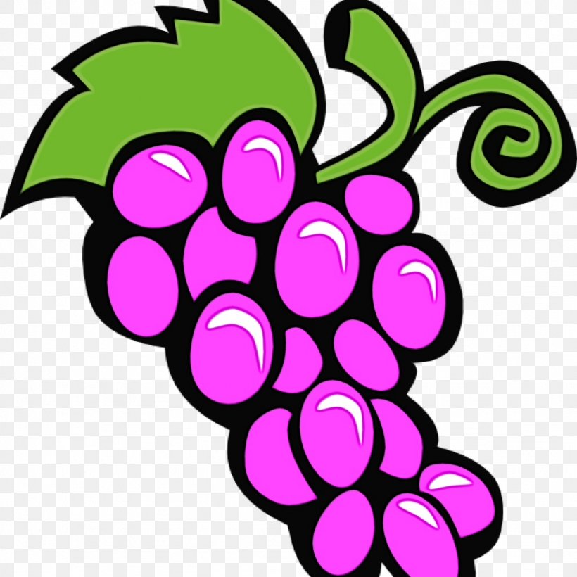 Grape Grapevine Family Clip Art Purple Violet, PNG, 1024x1024px, Watercolor, Fruit, Grape, Grapevine Family, Paint Download Free