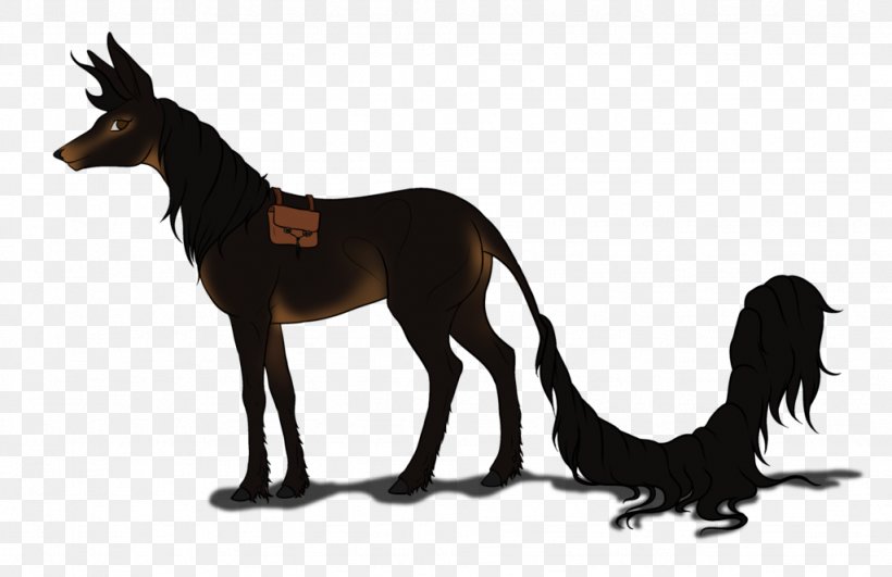 Logo Dog Coasters Pony, PNG, 1024x664px, Logo, Carnivoran, Coasters, Dog, Dog Like Mammal Download Free