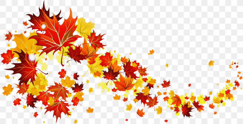 Maple Leaf, PNG, 1200x614px, Leaf, Autumn, Black Maple, Deciduous, Maple Download Free
