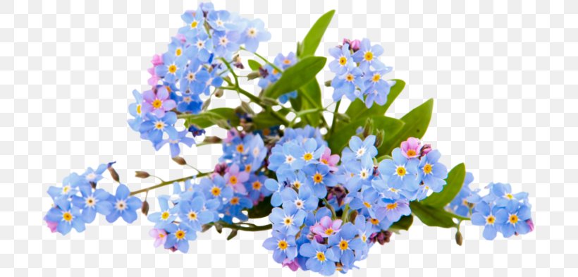 Stock Photography Royalty-free Image Illustration, PNG, 699x393px, Stock Photography, Art, Blossom, Blue, Borage Family Download Free