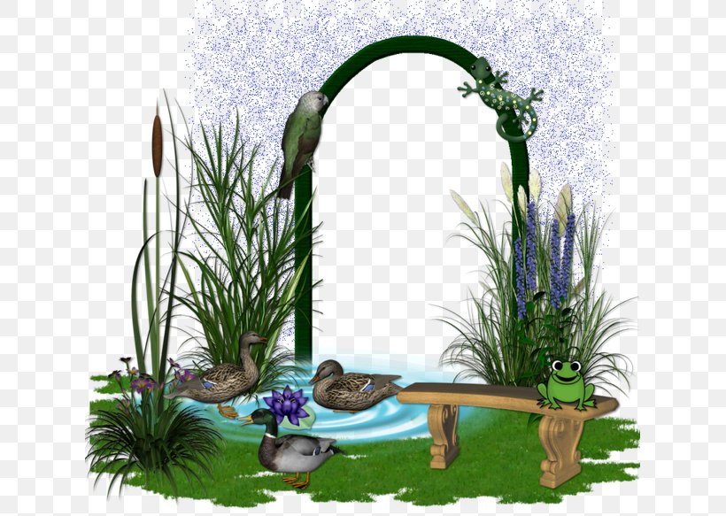 Grasses Majorelle Garden Majorelle Blue Rat Floral Design, PNG, 627x583px, Grasses, Blue, Floral Design, Flower, Flowering Plant Download Free