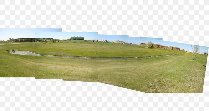 Grassland Golf Course Landscape Meadow Pasture, PNG, 1500x800px, Grassland, Ecological Art, Ecology, Environmental Remediation, Golf Club Download Free