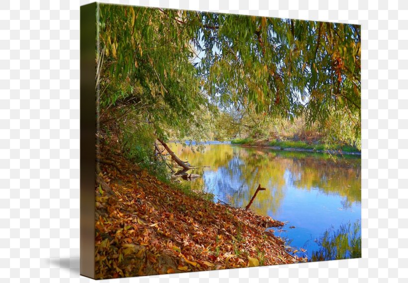 Water Resources Nature Reserve Painting Gallery Wrap Pond, PNG, 650x570px, Water Resources, Art, Autumn, Bank, Bayou Download Free