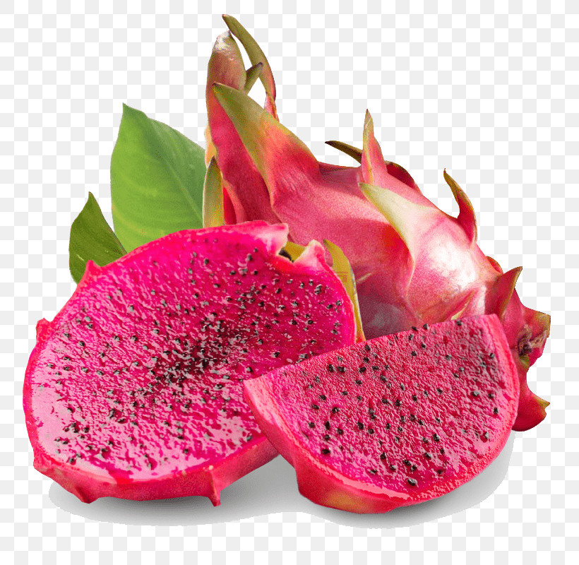 Cactus, PNG, 800x800px, Fruit, Accessory Fruit, Cactus, Costa Rican Pitahaya, Dragonfruit Download Free