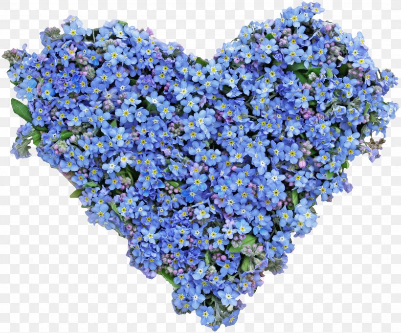 Flower Stock Photography Heart Royalty-free Blue, PNG, 2133x1772px, Flower, Annual Plant, Art, Aubretia, Blue Download Free