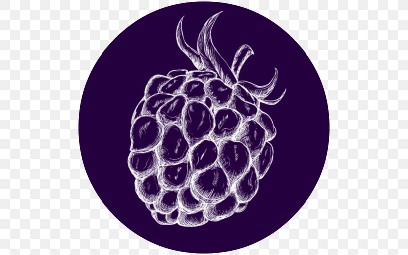 Grape Purple Pattern, PNG, 512x512px, Grape, Food, Fruit, Grapevine Family, Organism Download Free