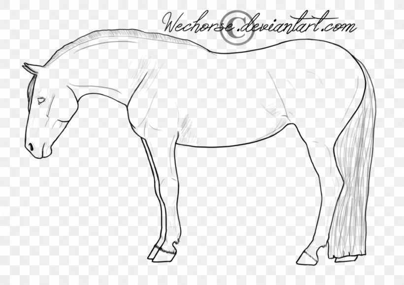 Line Art American Quarter Horse American Paint Horse Pony Foal, PNG, 1023x724px, Line Art, American Paint Horse, American Quarter Horse, Animal Figure, Art Download Free