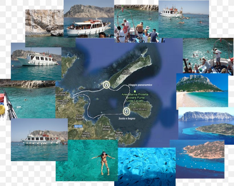 Tavolara Island Isola Molara Ferry Pools Of Molara Traghetti Tavolara, PNG, 883x703px, Tavolara Island, Ausflug, Beach, Coastal And Oceanic Landforms, Collage Download Free