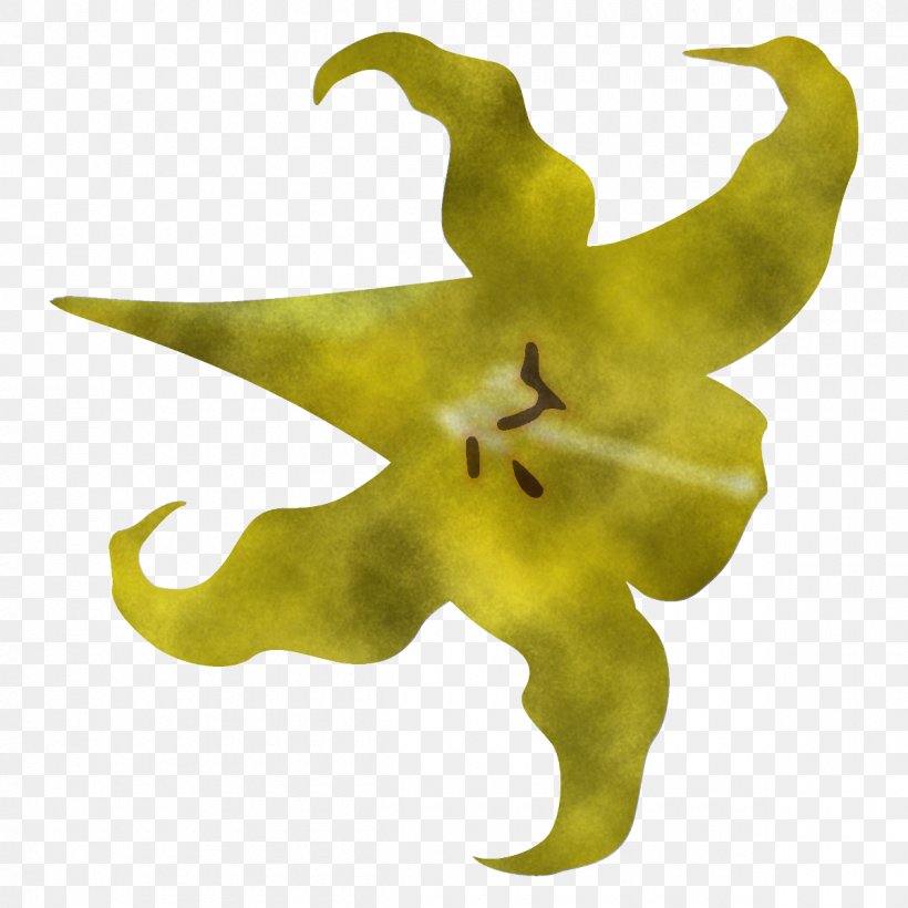 Yellow Plant Flower Tree Lily, PNG, 1200x1200px, Yellow, Flower, Lily, Plant, Tree Download Free