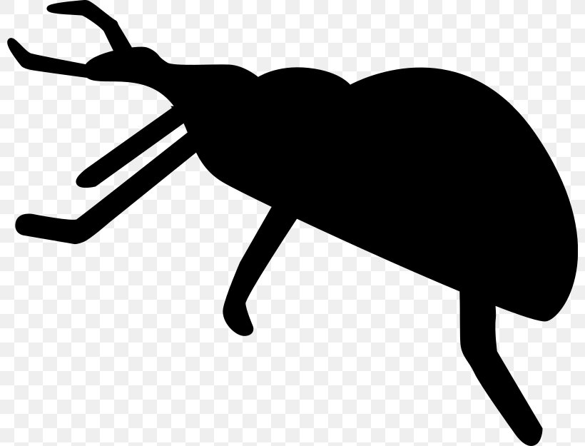 Beetle Silhouette Drawing Clip Art, PNG, 800x625px, Beetle, Art, Artwork, Black, Black And White Download Free