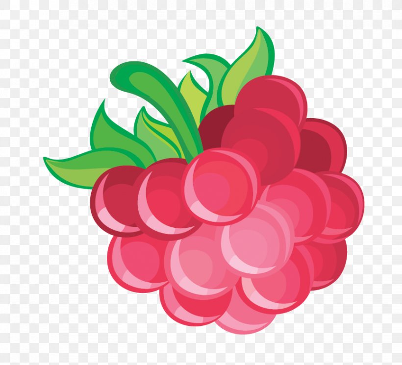 Frutti Di Bosco Red Raspberry, PNG, 864x785px, Juice, Android, Auglis, Berry, Cartoon Download Free
