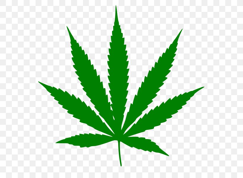 Medical Cannabis Cannabis Sativa Marijuana Hemp, PNG, 562x599px, Cannabis, Cannabis Ruderalis, Cannabis Sativa, Cannabis Smoking, Drug Download Free