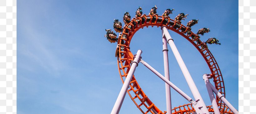 Roller Coaster Investment Afacere Asset Classes Killed By A Cow, PNG, 800x366px, Roller Coaster, Afacere, Amusement Park, Amusement Ride, Asset Classes Download Free