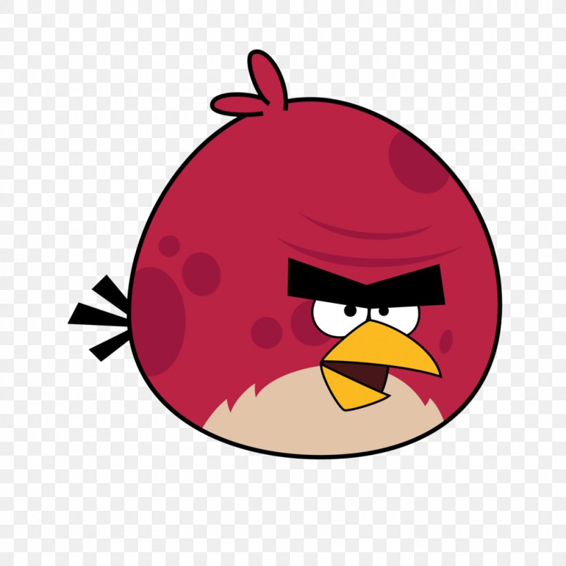 Angry Birds Space Angry Birds Seasons Angry Birds Rio, PNG, 1024x1024px, Angry Birds Space, Anger Management, Angry Birds, Angry Birds Movie, Angry Birds Rio Download Free