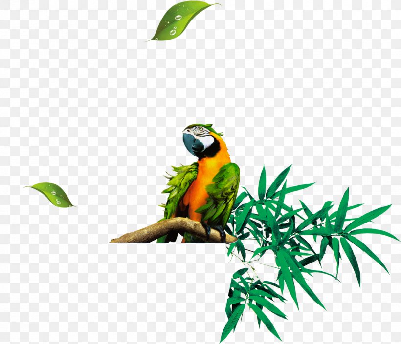 Bamboo Leaf Euclidean Vector, PNG, 1326x1141px, Bamboo, Bamboe, Beak, Bird, Common Pet Parakeet Download Free