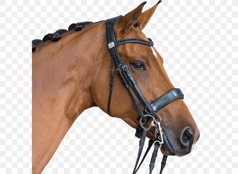 Horse Halter Bridle Rein Snaffle Bit, PNG, 600x600px, Horse, Bit, Bridle, Double Bridle, Dressage Download Free