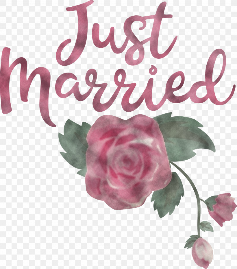 Just Married Wedding, PNG, 2645x3000px, Just Married, Cabbage Rose, Cut Flowers, Floral Design, Flower Download Free