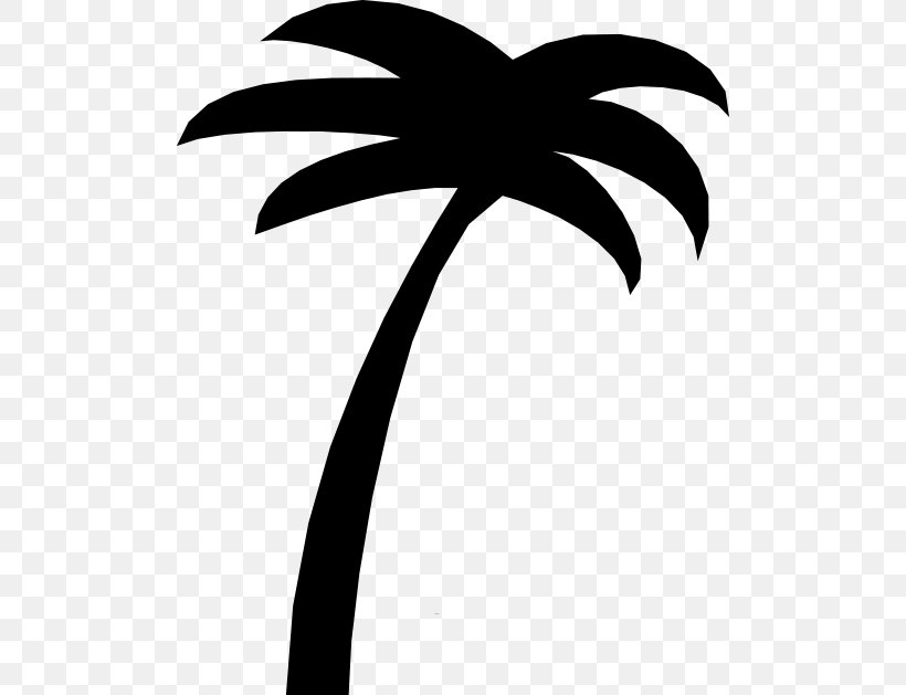 Sabal Palm Arecaceae Tree Clip Art, PNG, 500x629px, Sabal Palm, Arecaceae, Arecales, Black And White, Branch Download Free