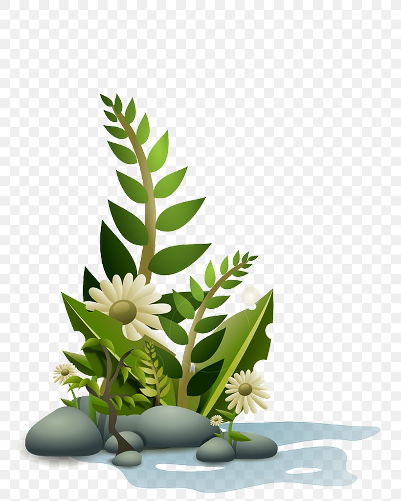Aquatic Plants Clip Art, PNG, 768x1024px, Plant, Alternative Medicine, Aquatic Plants, Flora, Floral Design Download Free