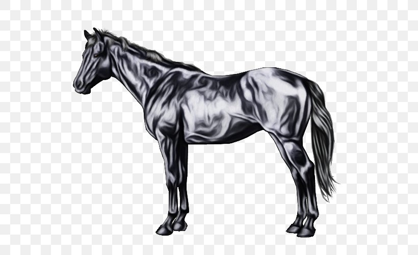 Horse Animal Figure Mane Mare Stallion, PNG, 600x500px, Watercolor, Animal Figure, Blackandwhite, Horse, Mane Download Free