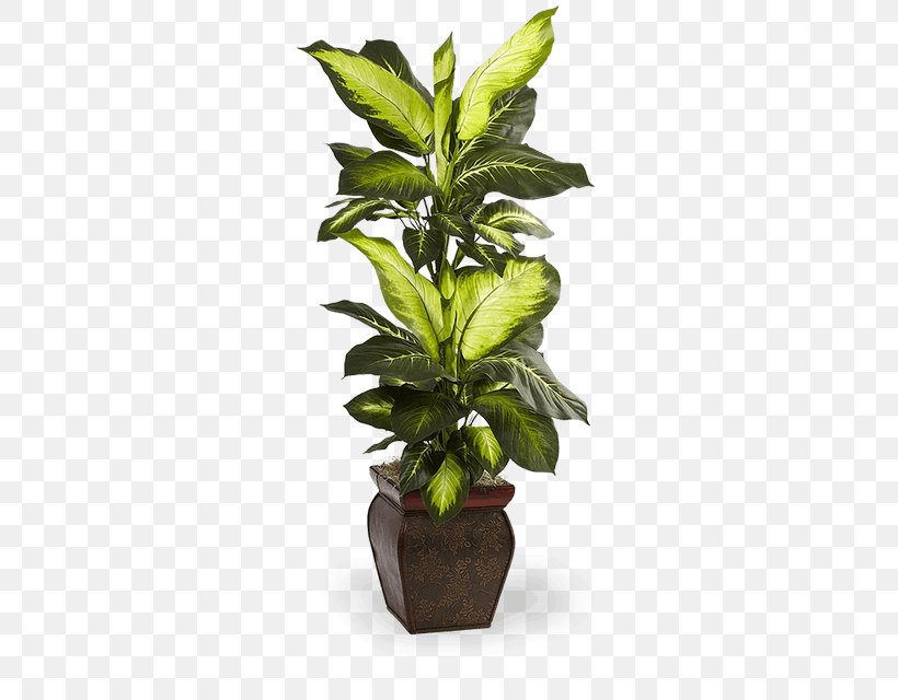 Leaf Swiss Cheese Plant Flowerpot Houseplant, PNG, 480x640px, Leaf, Arecaceae, Dumb Canes, Evergreen, Floor Download Free