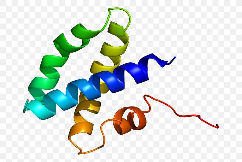Prosaposin Saposin Protein Domain Gene Activator, PNG, 714x551px, Prosaposin, Activator, Artwork, Conserved Sequence, Dnabinding Protein Download Free