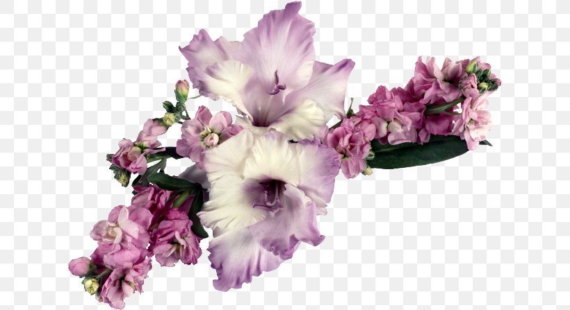Gladiolus Flower Bouquet, PNG, 650x447px, Gladiolus, Cut Flowers, Display Resolution, Floral Design, Floristry Download Free