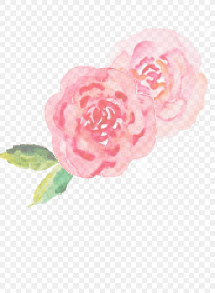 Love Tiramisu Female Food Romance, PNG, 954x1300px, Love, Camellia, Cut Flowers, Dessert, Emotion Download Free