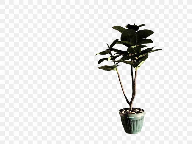 Plant Stem Leaf Houseplant Flowerpot Flora, PNG, 1200x900px, Plant Stem, Biology, Branching, Flora, Flower Download Free