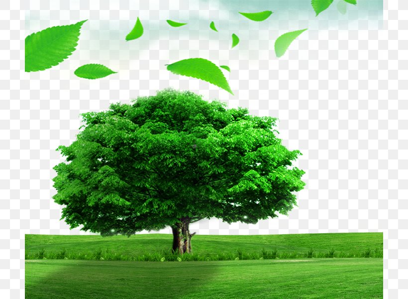 Poster Tree Material Desktop Wallpaper, PNG, 720x600px, Poster, Banner, Biome, Ecosystem, Field Download Free