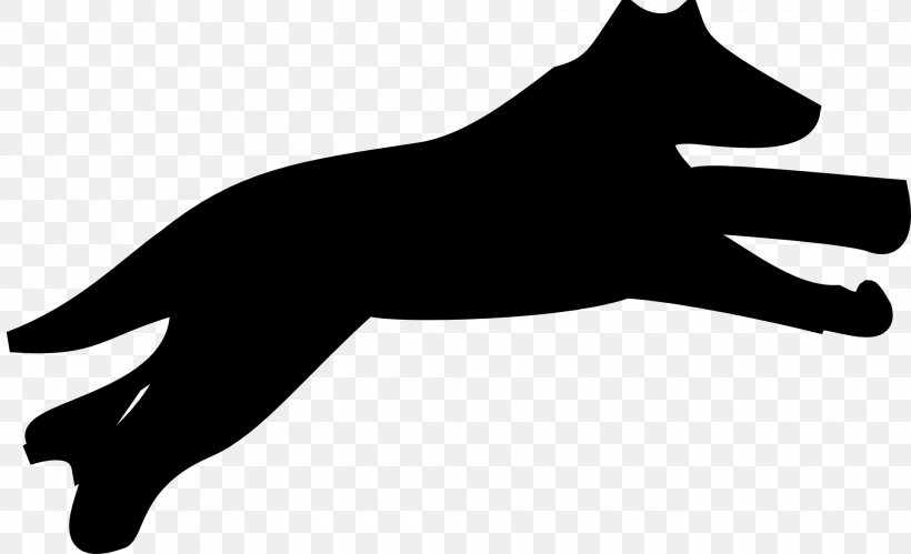Puppy Maltese Dog Dachshund Bulldog Cat, PNG, 1920x1170px, Puppy, Animal, Black, Black And White, Bulldog Download Free