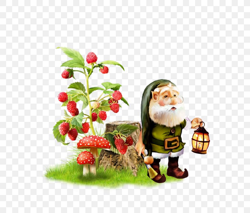 Red Raspberry Shrub Nursery Everbearing Raspberry, PNG, 688x699px, Red Raspberry, Berry, Christmas, Christmas Decoration, Christmas Ornament Download Free