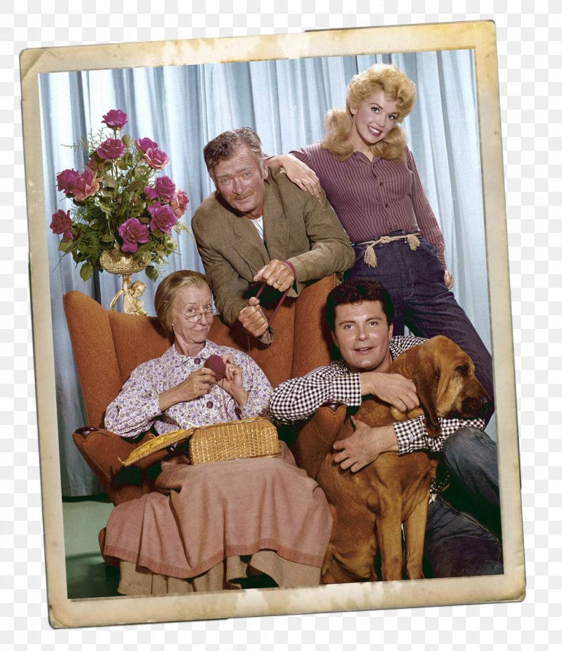 Blu-ray Disc Elly May Clampett DVD Television Show, PNG, 1028x1191px, Bluray Disc, Actor, Beverly Hillbillies, Buddy Ebsen, Dog Like Mammal Download Free