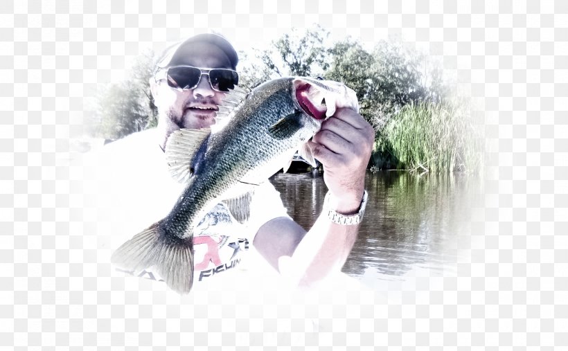 Pond Sunglasses Fishing YouTube, PNG, 1600x991px, Pond, Acre, Eyewear, Fish, Fishing Download Free