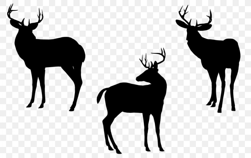 Reindeer Elk White-tailed Deer Antler, PNG, 1024x645px, Reindeer, Antelope, Antler, Black White M, Deer Download Free