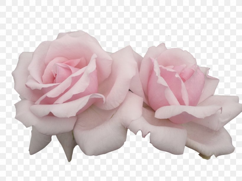 Rose Flower Pastel, PNG, 960x720px, Rose, Cut Flowers, Drawing, Flower, Flowering Plant Download Free