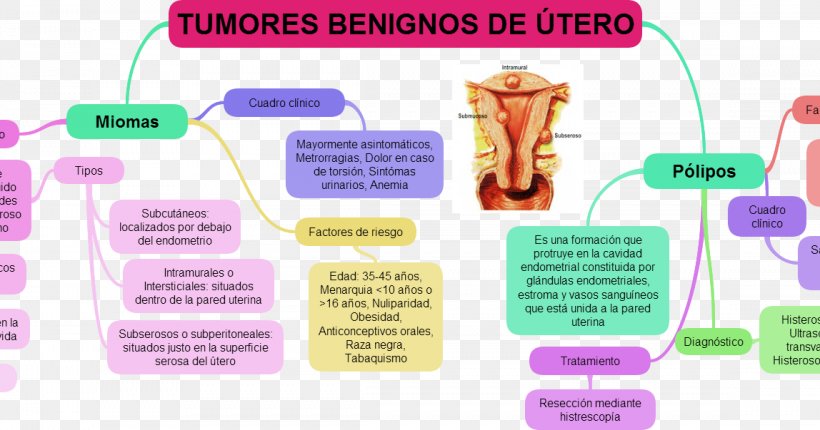 Uterus Uterine Fibroid Myoma Benign Tumor Polyp, PNG, 1148x603px, Uterus, Benign Tumor, Benignity, Communication, Female Download Free