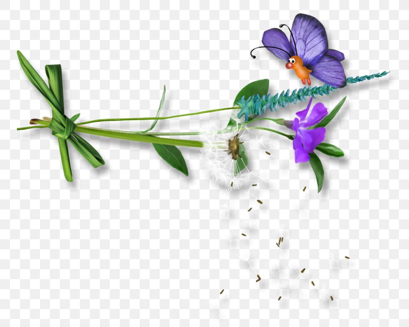 Animation Flower, PNG, 800x656px, Animation, Blog, Branch, Computer  Graphics, Flora Download Free