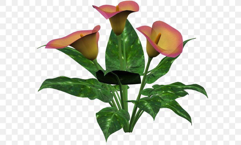 Floral Design Cut Flowers Plant Stem Bud, PNG, 600x495px, 2014, Floral Design, Bud, Cut Flowers, Floristry Download Free