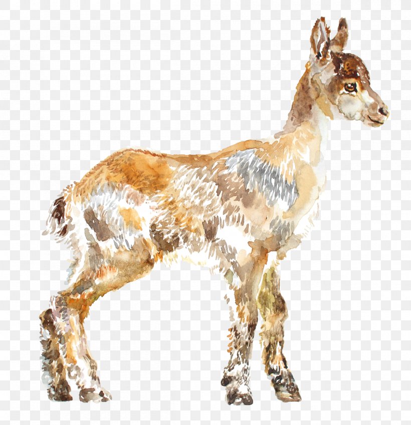 Goat Cartoon, PNG, 1200x1243px, Goat, Animal, Animal Figure, Antelope, Cattle Download Free