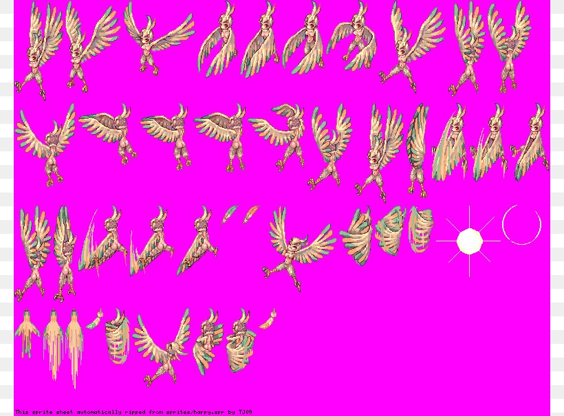 Insect Pollinator Invertebrate Animal Font, PNG, 780x605px, Insect, Animal, Invertebrate, Membrane, Membrane Winged Insect Download Free