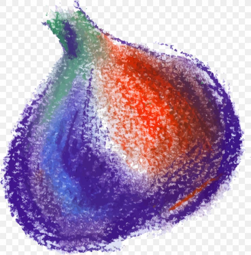 Onion Google Images Purple Vegetable, PNG, 900x914px, Onion, Cartoon, Crayon, Google Images, Purple Download Free