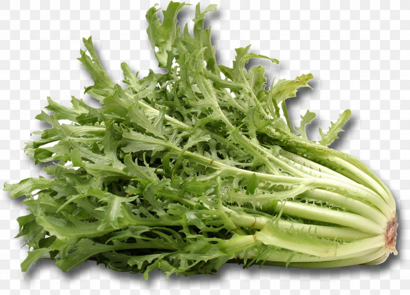 Broccoli Cichorium Endivia Romaine Lettuce Vegetarian Cuisine Curled Endive, PNG, 1241x895px, Broccoli, Chicory, Cichorium Endivia, Curled Endive, Endive Download Free