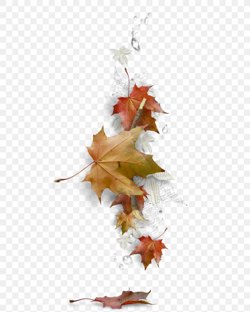 Maple Leaf Borders And Frames Autumn Leaf Color, PNG, 476x1024px, Maple Leaf, Autumn, Autumn Leaf Color, Borders And Frames, Branch Download Free