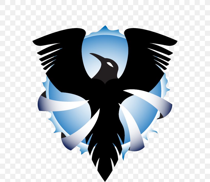 MechWarrior Online Baltimore Ravens Logo, PNG, 712x712px, Mechwarrior Online, Baltimore Ravens, Information, Internet Media Type, Logo Download Free